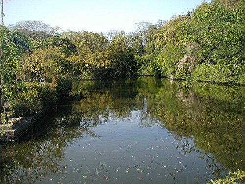 神泉苑の池20080420.JPG
