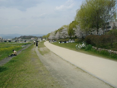 鴨川20080404.JPG