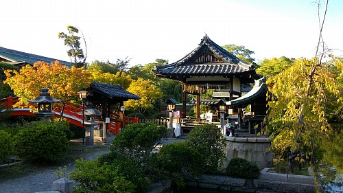 神泉苑090920.JPG