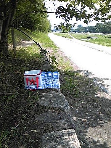 昼休み桜の木陰20080709.JPG