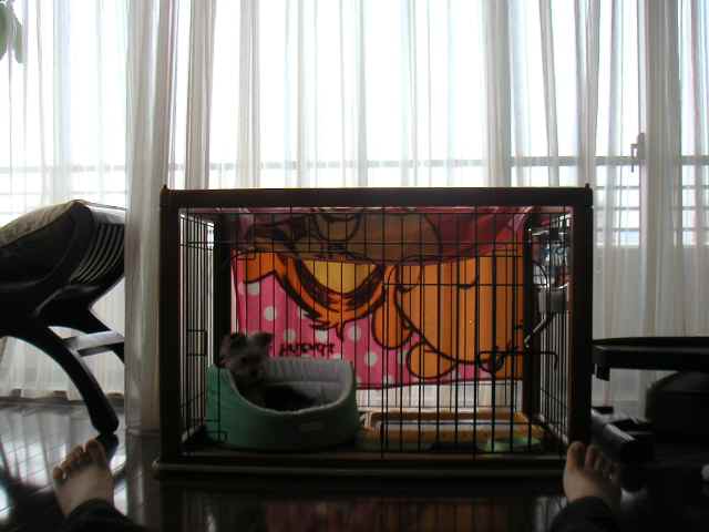 はうす