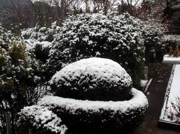 雪景色１