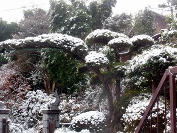雪景色２