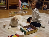 積木とブランとましろ２