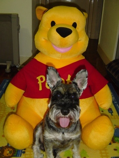 Pooh & Ken.JPG