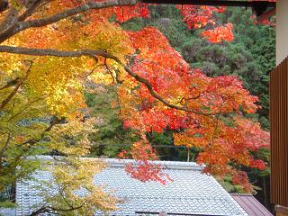 寂光院の紅葉