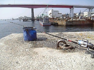 06-03-08_12-57.jpg