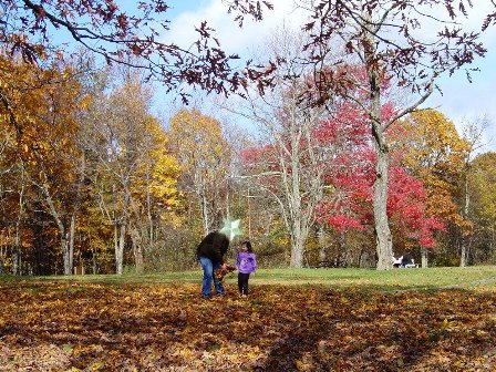 シェナンドー国立公園　パパと走りまくるクレピ.JPG