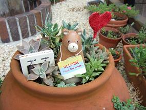 ストロベリーポット