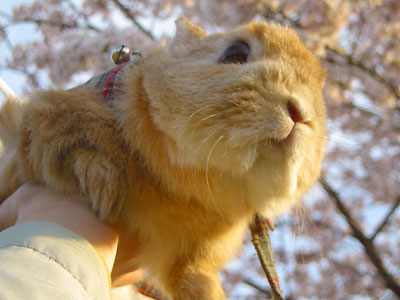 ちびちゃん高い高~い♪