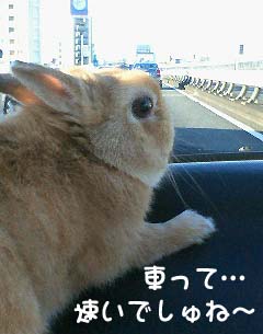 ドライブ~☆