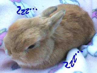 眠くなっちゃった♪