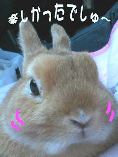 ちび、感想は・・?