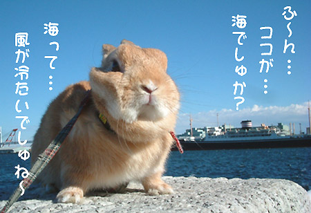 初めての海にて~♪