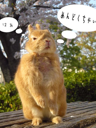 めんどくさっ!!