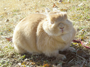 ひなたぼっこ~♪