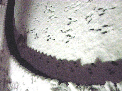 だれかさんの足跡