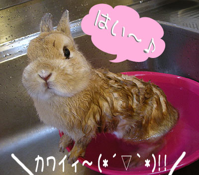 振り向いたぁ~♪