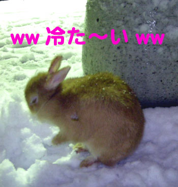 冷たい~!!!