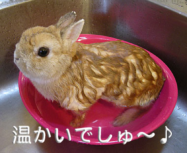 温かいでしゅ~♪