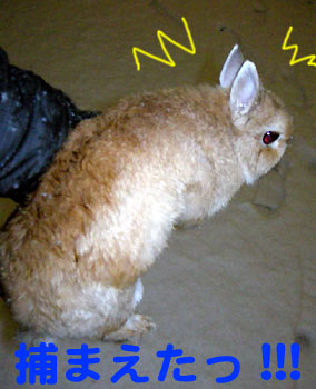 捕まっちゃったw