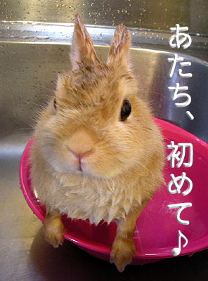 お風呂初めて♪