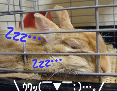 お目目クシャ!!!