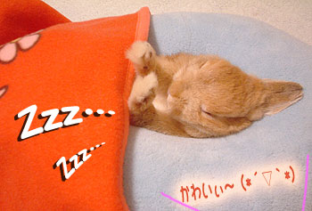 はなちゃんネンネ2