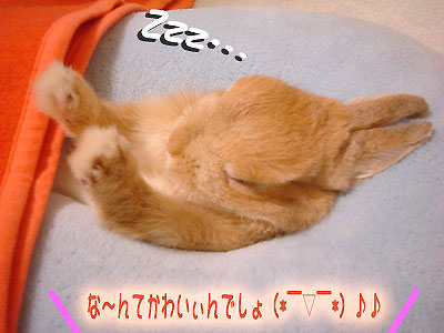 はなちゃんネンネ3