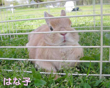 だれか出して~!!!