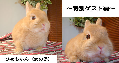 ひめちゃんでしゅ♪