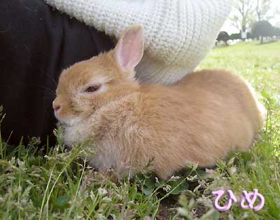 そばにいてね・・・♪