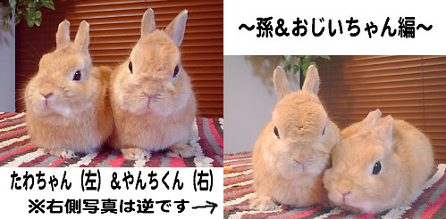 やんちくん&たわくん