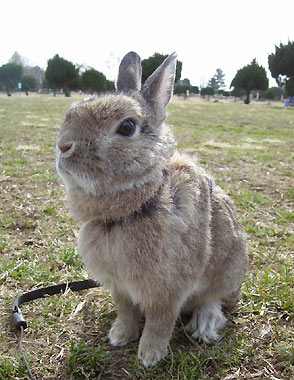 ジュニでしゅ!!