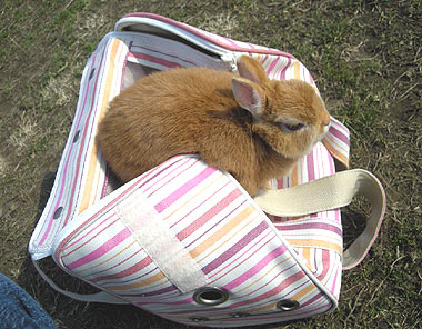 ココでいいでしゅ♪