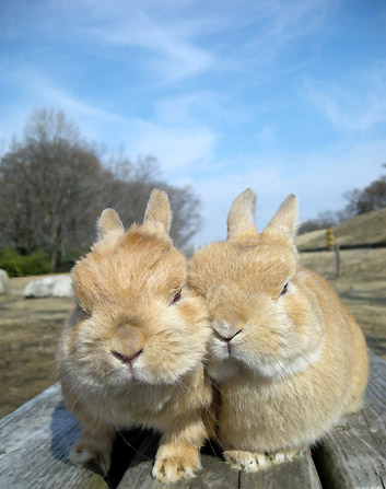 ちび&はなショット♪