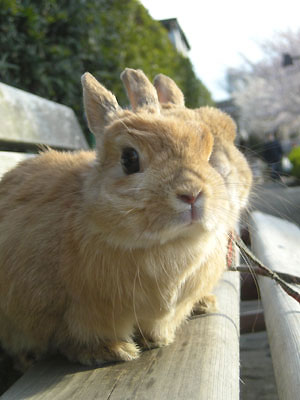 だれか後ろに??