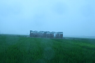 雷雨
