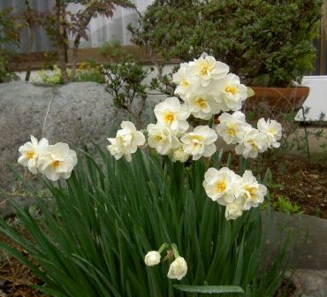 ウイストンチャーチル