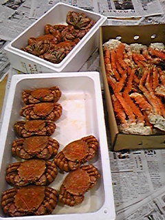 ｶﾆｶﾆｶﾆ♪