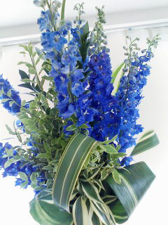 デルフィニュウム