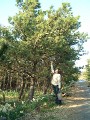 DSCF0040.JPG