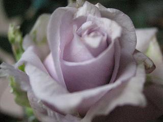 グラウンブルー