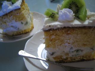 キウイショート