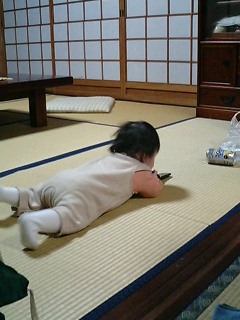 つたい歩き３.jpg