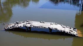 なんでしょう♪わかるかな？