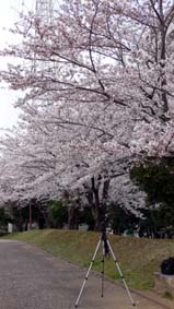おいてけ堀。最初はガンガン撮ってらっしゃったんですよぉ～