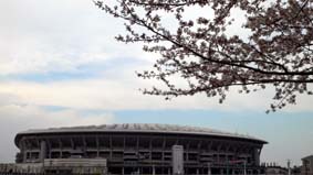 ワールドカップ開催