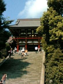 鶴岡八幡宮