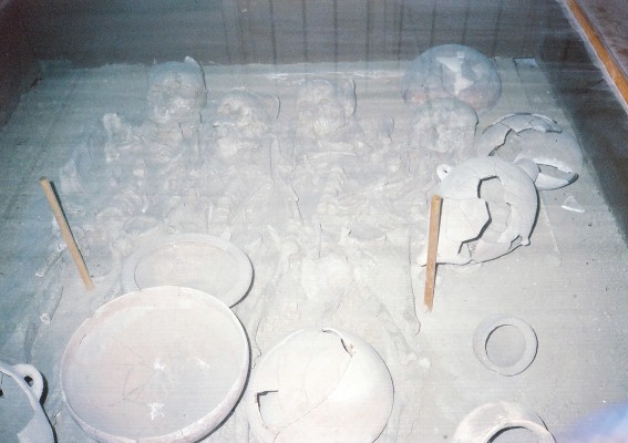 DL000149.JPG